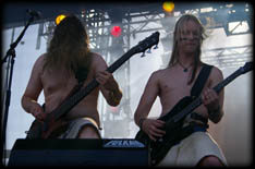 ensiferum