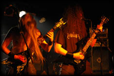 insignium